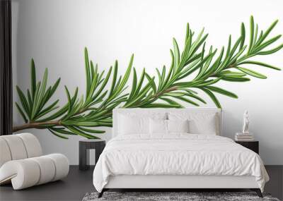 Rosemary Isolated on Transparent Background
 Wall mural