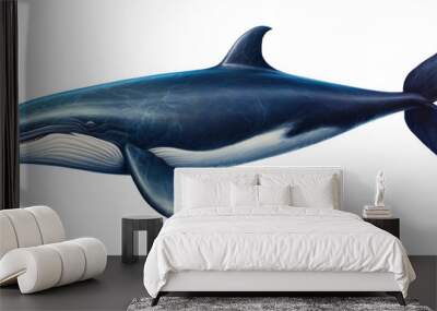 Whale Isolated on Transparent Background
 Wall mural