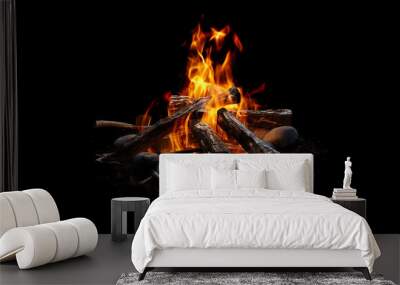 Camp fire isolated on black Wall mural