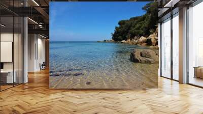 Spartaia beach, sand and stones. Elba island, Tuscany, Italy Wall mural