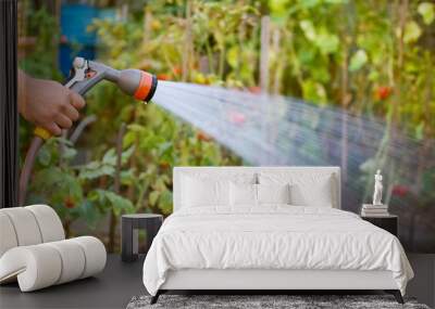 watering garden equipment Wall mural