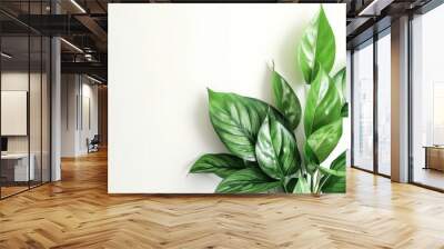 Lush foliage on minimal background for refreshing home decor Wall mural