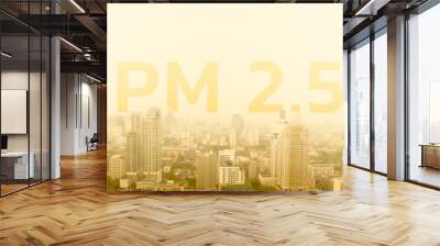 PM 2.5 dust. City and sky view with smog and bad air pollution, Metropolis with many buildings show poor weather and yellow smoke. Combustion from smoke and car exhaust pipes. Wall mural