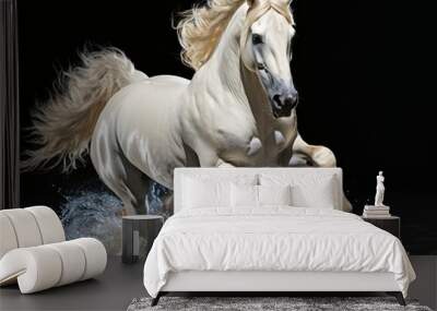 Strong White Horse Galloping with Water Splashes on Black Background Wall mural