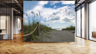 Path along the sea oat grass, flora and fauna for this southwest Florida beach. Location is Turtle Beach near popular travel tourist destination of Siesta Key. Storm clouds and sunshine illuminate sky Wall mural