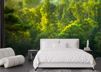 A young female hiker takes a break to enjoy a forest view. Wall mural