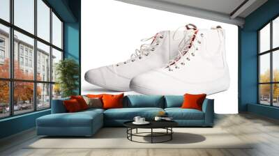 Sneakers Wall mural