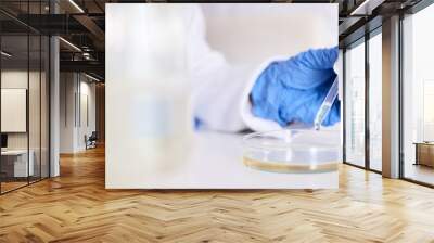 Hand, petri dish and liquid, chemical and pipette in laboratory with scientist person and experiment. Liquid solution, glass and test for medical research, science study and chemistry with closeup Wall mural