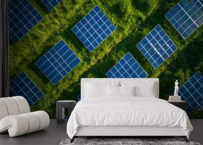 solar panels on ground, sustainability, solar power Wall mural