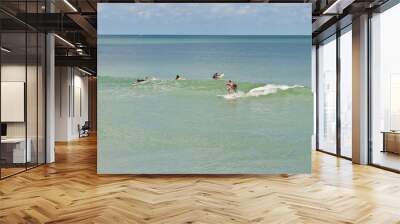 back view, very far away of a group of surfers waiting for a big wave and others surfing toward a tropical shore on gulf of Mexico, on sunny day Wall mural