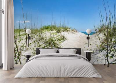 beach ocean sea scene sand dunes grass Wall mural