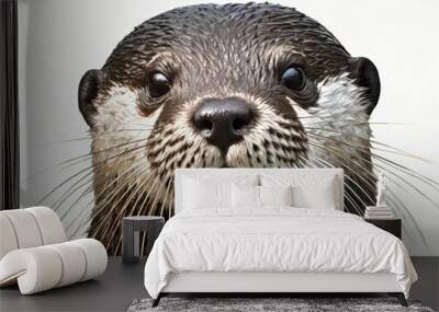 Close-up of a sea otter, isolated against a white background Wall mural