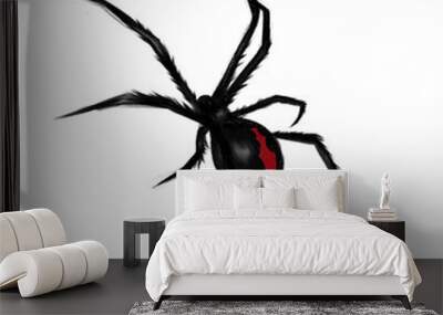 spider isolated on transparent  white background Wall mural