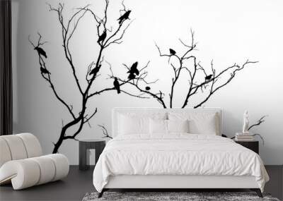 dark silhouettes of birds sitting on bare tree branches isolated on white background, close view Wall mural