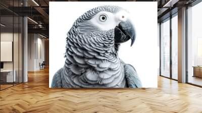 African grey parrot in profile on a clean white background Wall mural