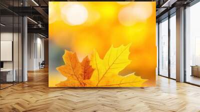 Two Golden Autumn Leaves on a White Surface with Bokeh Background. Wall mural