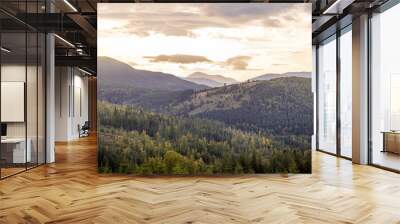 A serene view of the Carpathian mountains during sunrise, with Mount Hoverla visible in the distance. The tranquil morning atmosphere highlights the natural beauty of the forested landscape Wall mural