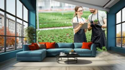 couple of workers working with digital tablet supervising the growing of plants in the greenhouse of Wall mural