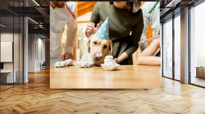 Friends celebrating dog's birthday with cake at the table on the backyard of the house in the evening Wall mural