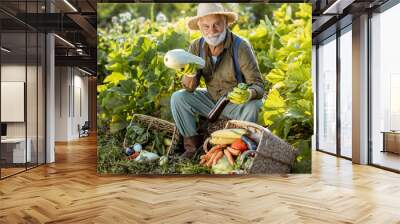 Portrait of a senior well-dressed agronomist with freshly picked up vegetables on the garden outdoors. Concept of growing organic products and active retirement Wall mural