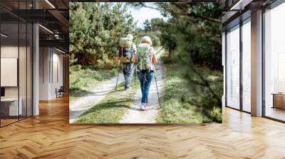 Senior couple hiking with backpacks on the road in the young pine forest, back view Wall mural