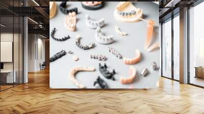 Various of artificial jaw models with dental implants and crowns on the white background. Concept of aesthetic dentistry and implantation technology Wall mural