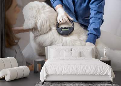 Veterinarian checking microchip implant under sheepdog dog skin in vet clinic with scanner device and owner showing a document. Registration and indentification of pets. Animal id passport. Wall mural