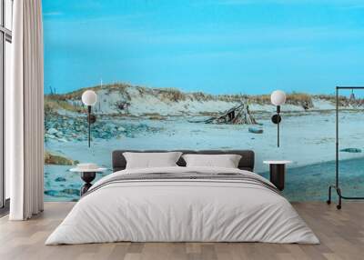 Beach Scraps Wall mural