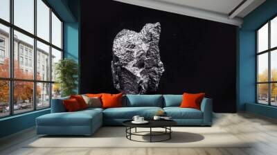 silicon stone from china used in the electronics industry Wall mural