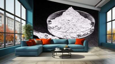 Sodium bisulfate, also called sodium hydrogensulfate. Used to reduce alkalinity in swimming pools. Wall mural