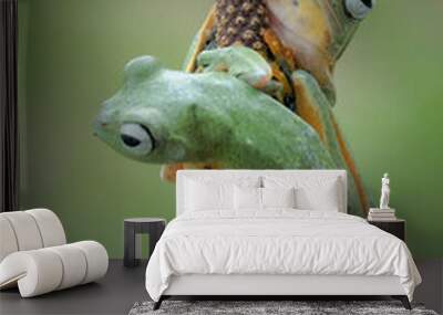 frog on leaf Wall mural