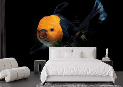 goldfish Wall mural