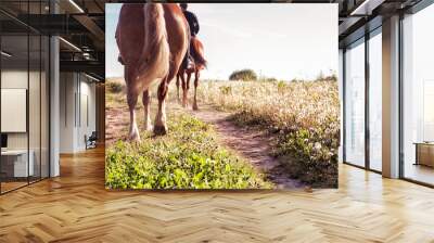 horse ride in sunny weather. Horizontal photo Wall mural