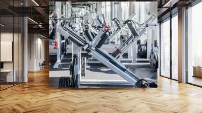 Strength Exercise Area at the Sports Center Wall mural