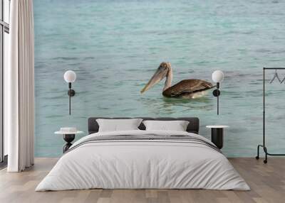 beautiful pelican on the sea in venezuela Wall mural