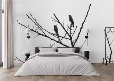 two birds on a tree black and white Wall mural