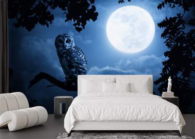 owl illuminated by full moon on halloween night Wall mural