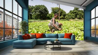 Happy little African village girl harvesting lettuce from her father's garden Wall mural