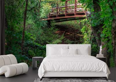 Bridge over a creek in a quiet forrest Wall mural