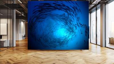 Chevron Barracuda fish  Wall mural