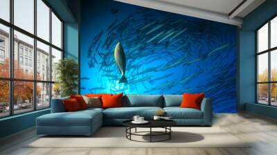 Chevron Barracuda fish  Wall mural