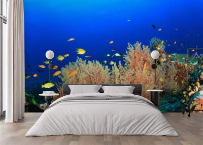 Coral and Fish underwater Wall mural