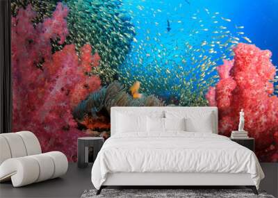 Coral reef and fish underwater Wall mural