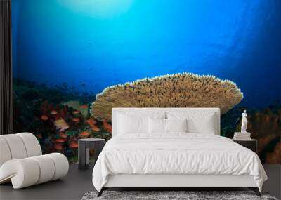 Coral reef underwater sea ocean Wall mural