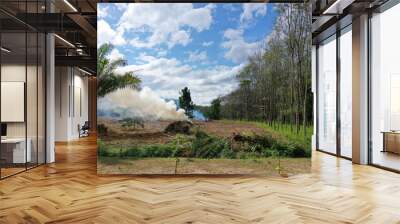 Deforestation. Forest is knocked down and burned to make way for palm oil plantations in Southeast Asia Wall mural