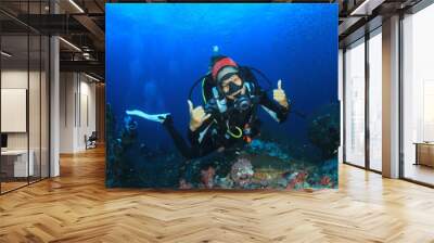 Female scuba diver  Wall mural