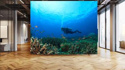 Scuba dive. Coral reef underwater and female scuba diver Wall mural