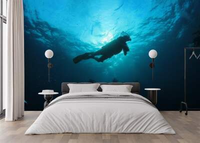 Scuba dive Wall mural