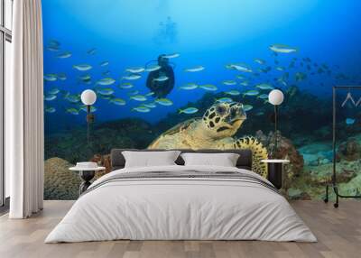 Scuba diver and Hawksbill Sea Turtle Wall mural