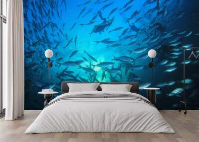 Scuba divers, fish and coral reef underwater  Wall mural